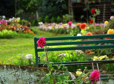 Oak Field Resort มุนนาร์ ภายนอก รูปภาพ