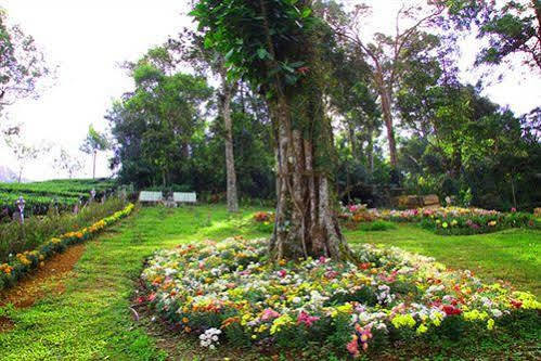 Oak Field Resort มุนนาร์ ภายนอก รูปภาพ